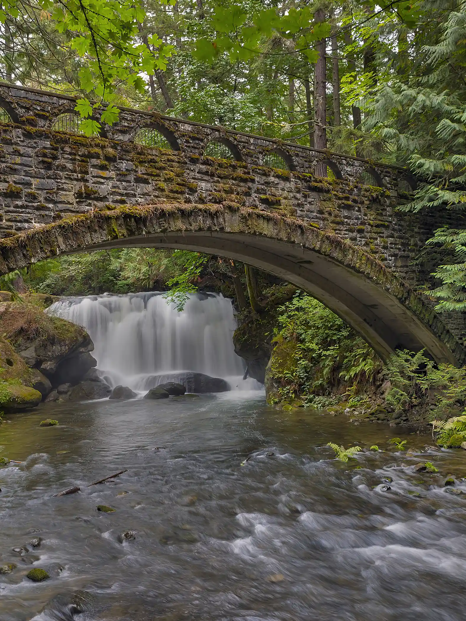 Whatcom Falls on Whatcom Creek in Bellingham, Washington, with the historic stone bridge visible above the cascade