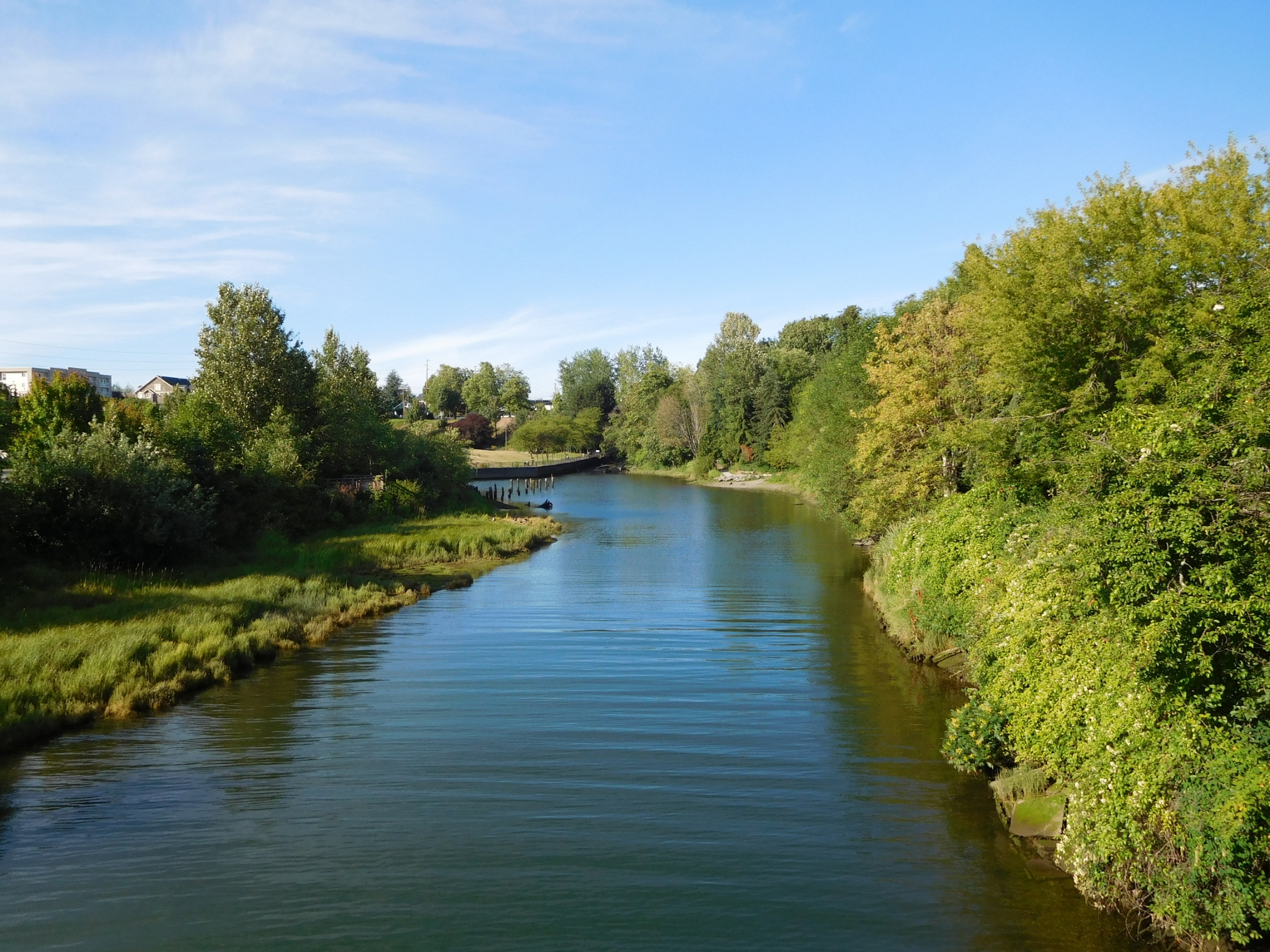 Whatcom Creek near its mouth, looking toward Bellingham Bay from the West Holly Street bridge in Bellingham, Washington